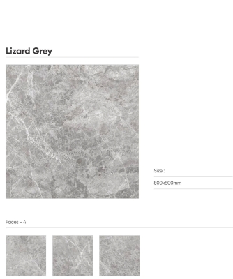 LIZARD GREY